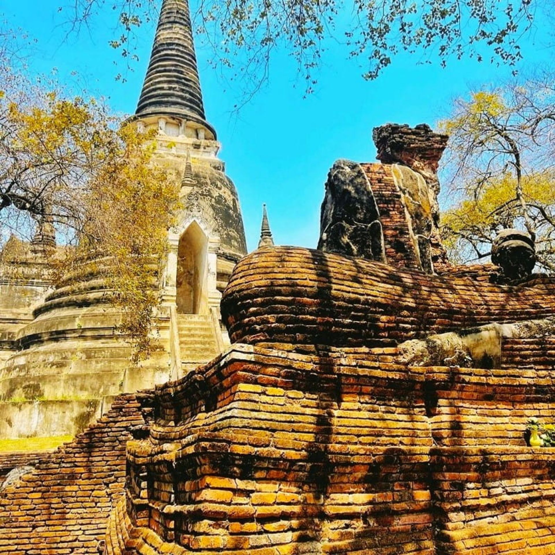  پارک تاریخی آیوتایا، منبع: trip.com