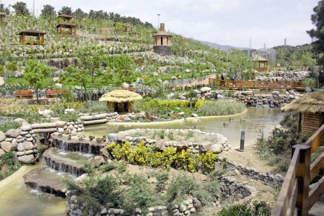 فضای باز باغ پرندگان تهران در جنگل لویزان