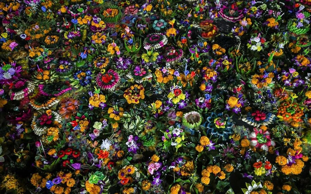 عکس هوایی از سبدهای گل و میوه