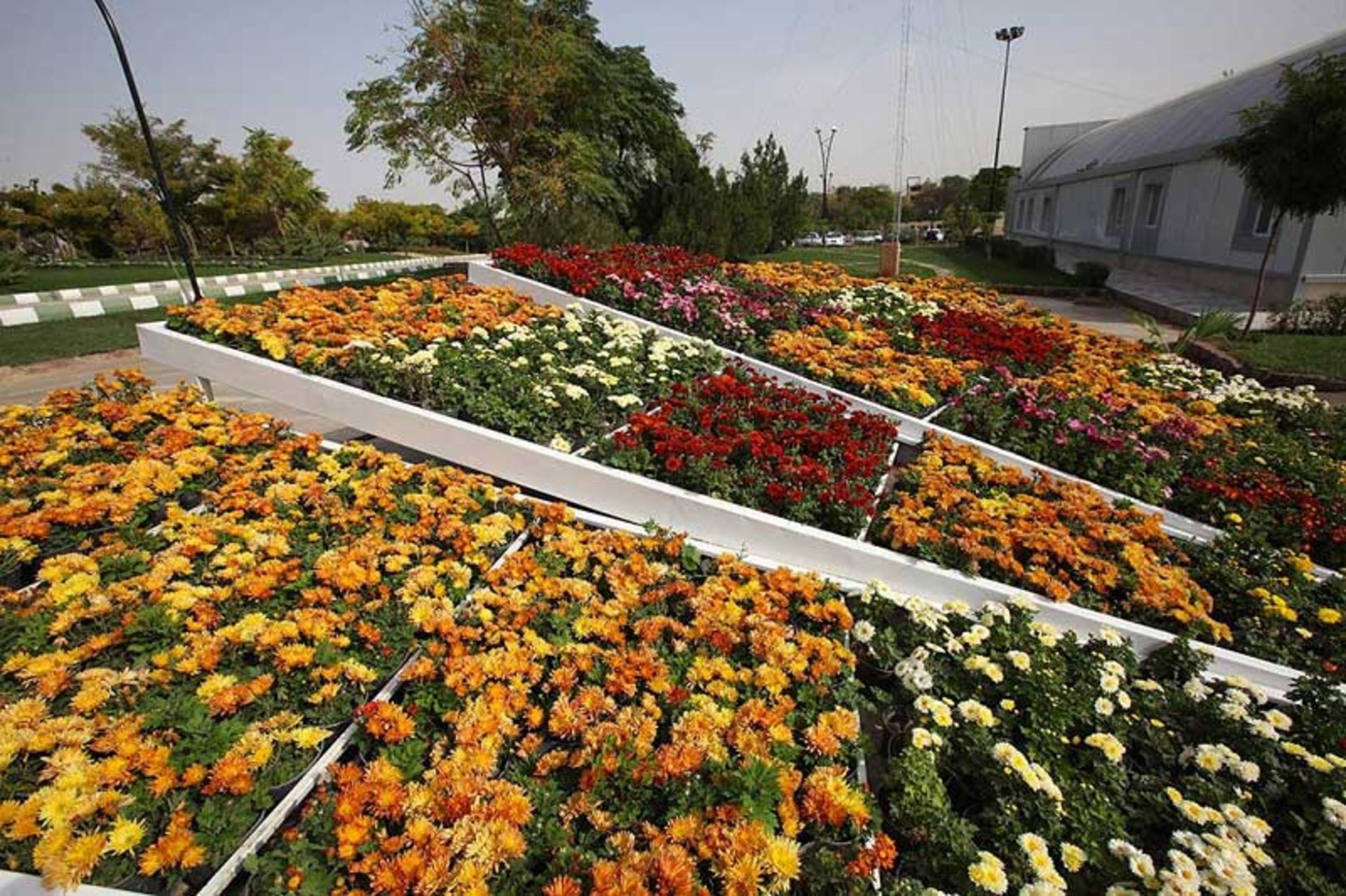 باغ گیاه‌شناسی در باغ مشهد؛ منبع عکس: rtbmashhad.com؛ عکاس: نامشخص