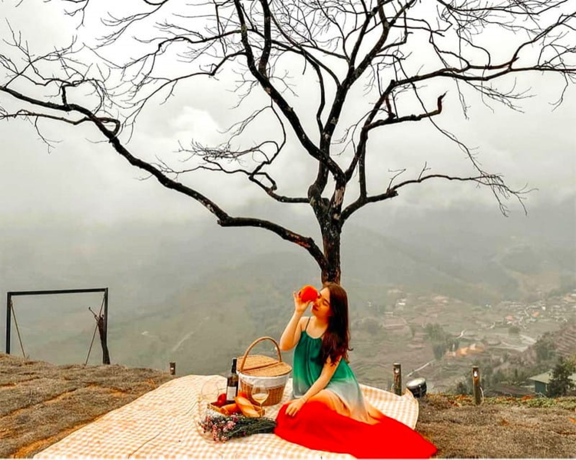 تک درخت، منبع: vietnam.vn