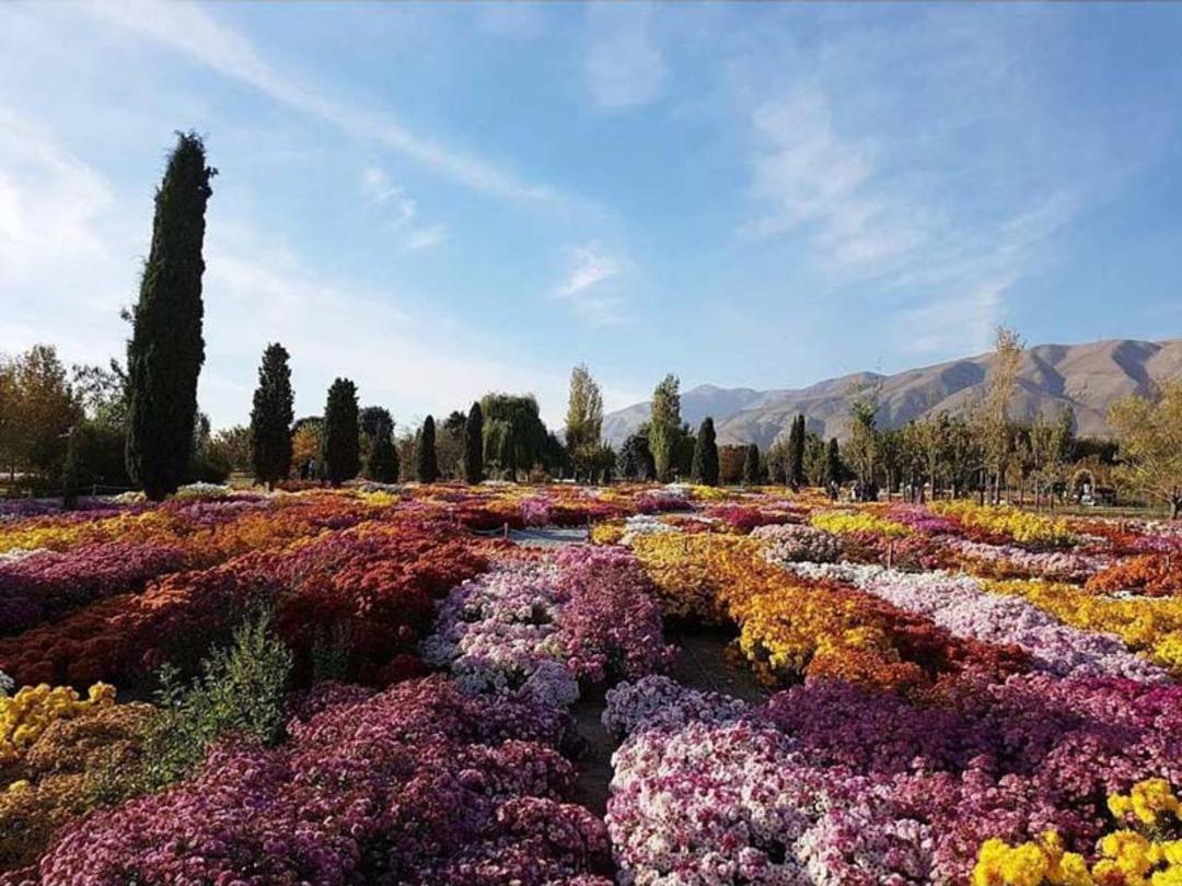 گل های رنگارنگ در باغ گیاه شناسی ملی ایران