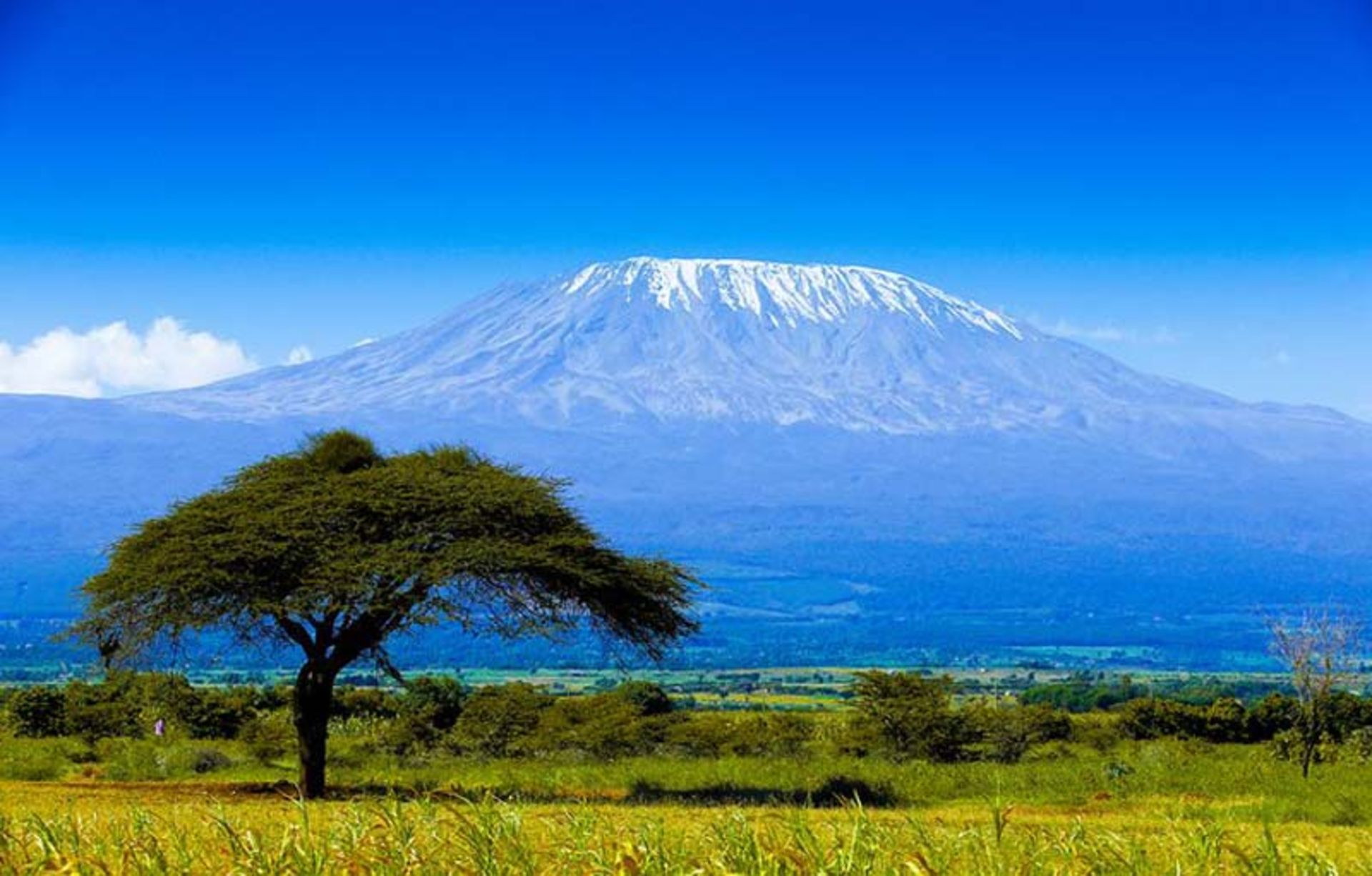 نمایی از کوه کلیمانجارو، بلندترین قله در آفریقا