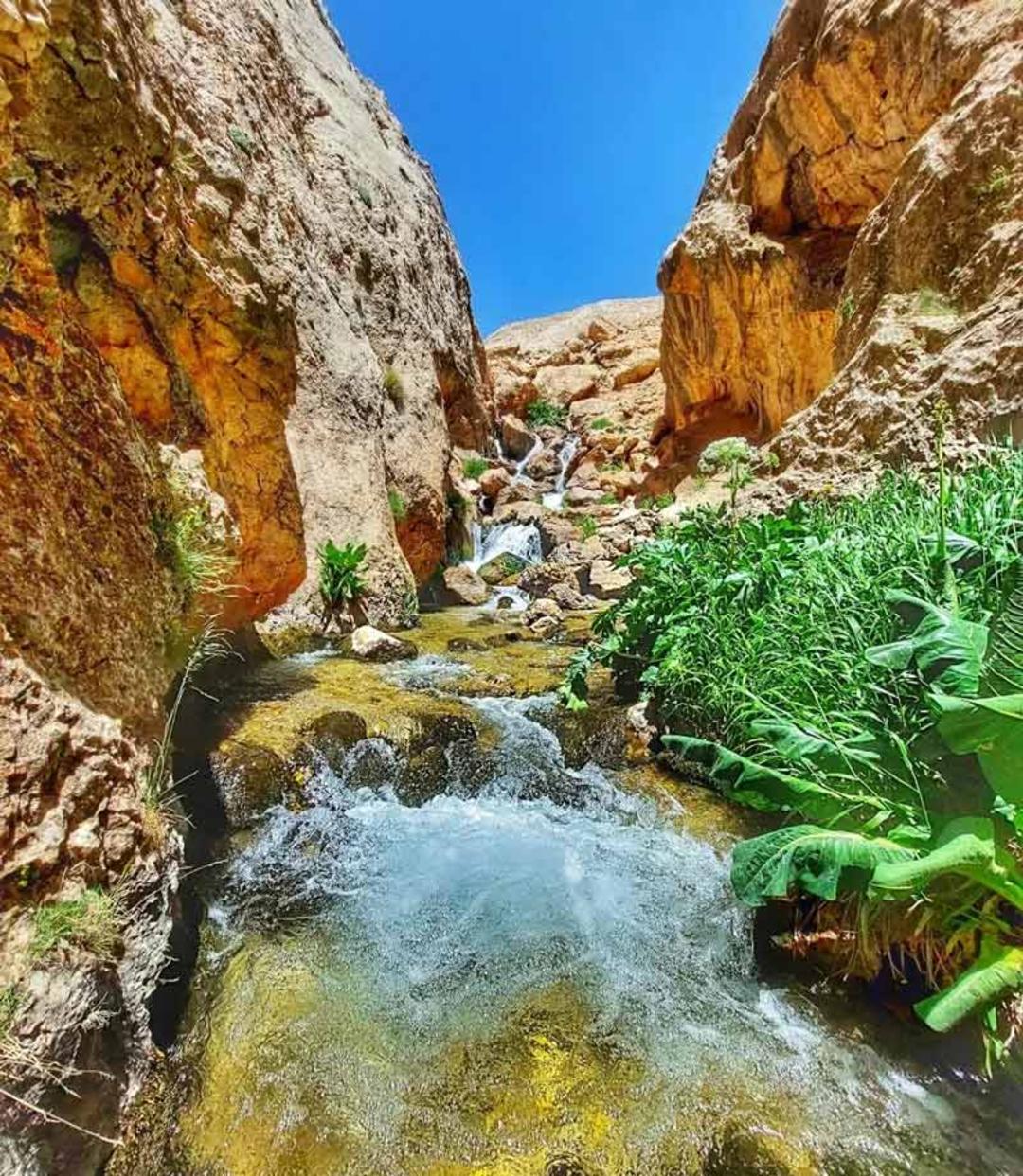 طبیعت زیبای تنگه لاسک فیروزکوه؛ منبع عکس: گوگل مپ؛ عکاس:ارشیا محلوجیان