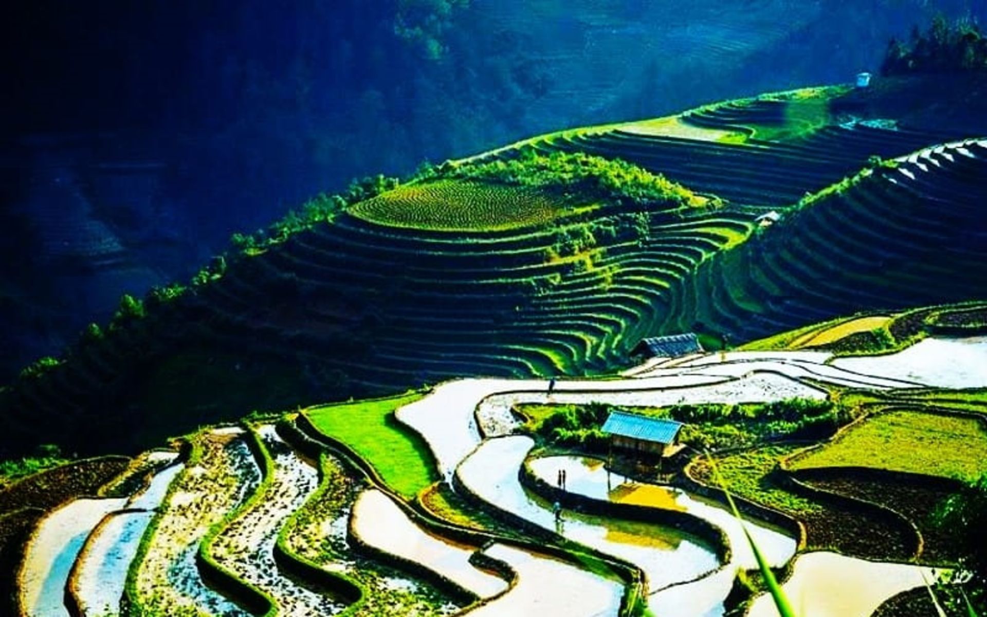 روستای کت کت در ویتنام، منبع: صفحه اینستاگرام sapa.vietnam