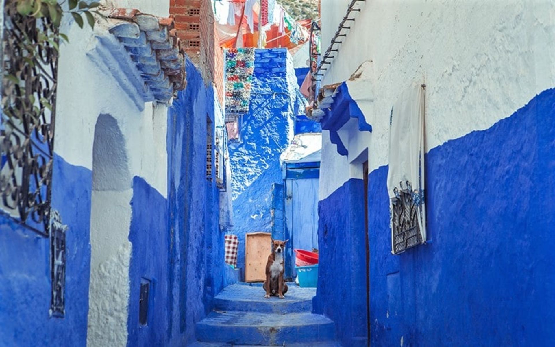 کوچه آبی رنگ در شفشاون، منبع عکس: followyourplate.com، عکاس: نامشخص
