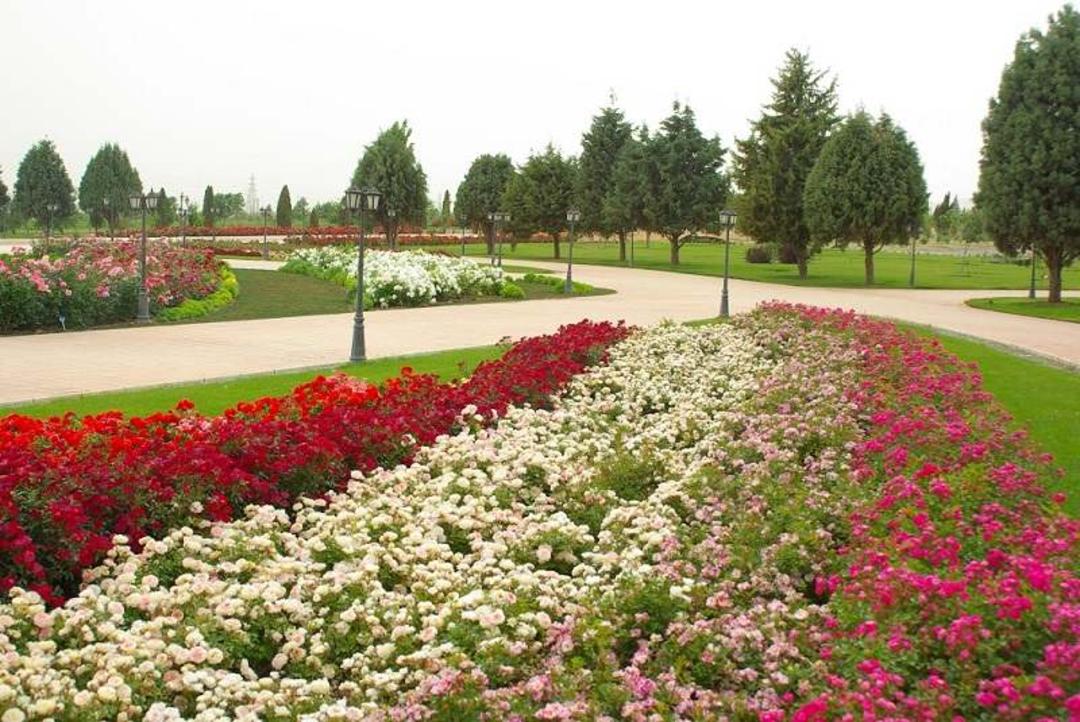 میدان اصلی باغ گیاهشناسی ملی؛ منبع عکس: وب سایت باغ گیاهشناسی ملی؛ عکاس: ناشناس