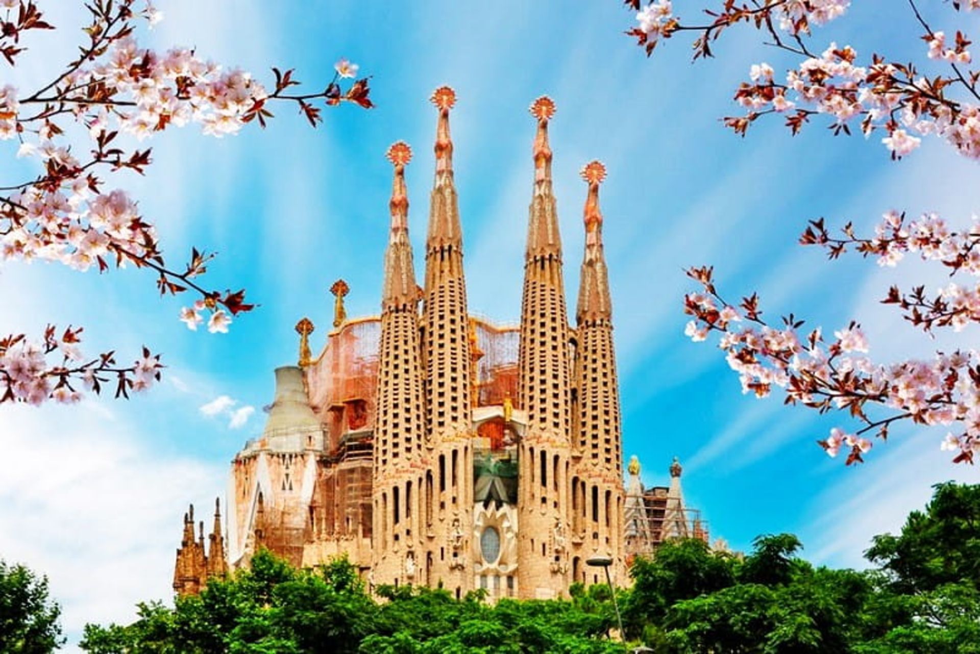 کلیسا ساگرادا فامیلا، منبع: city-sightseeing.com