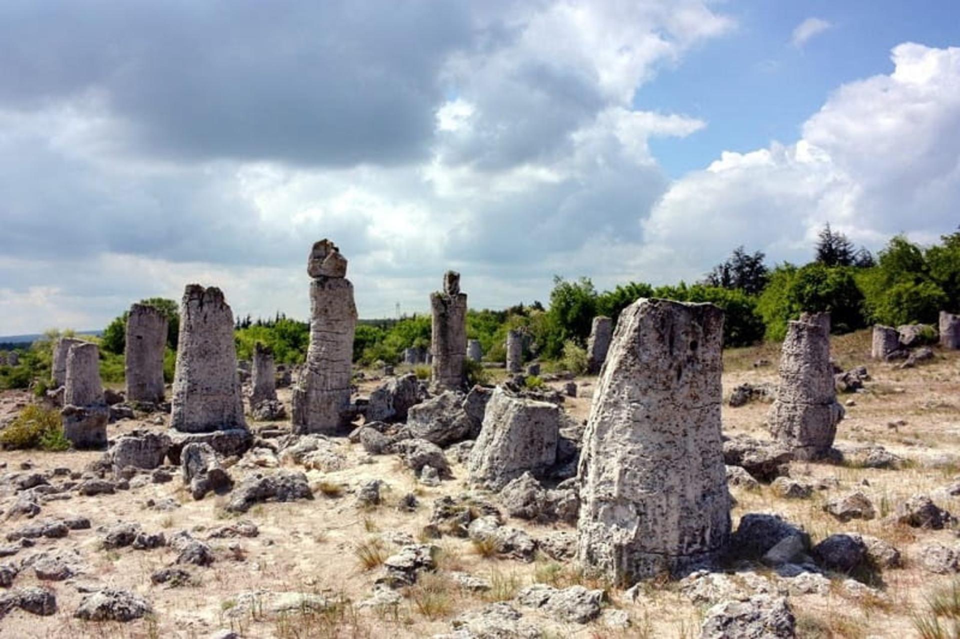 جنگل سنگی وارنا