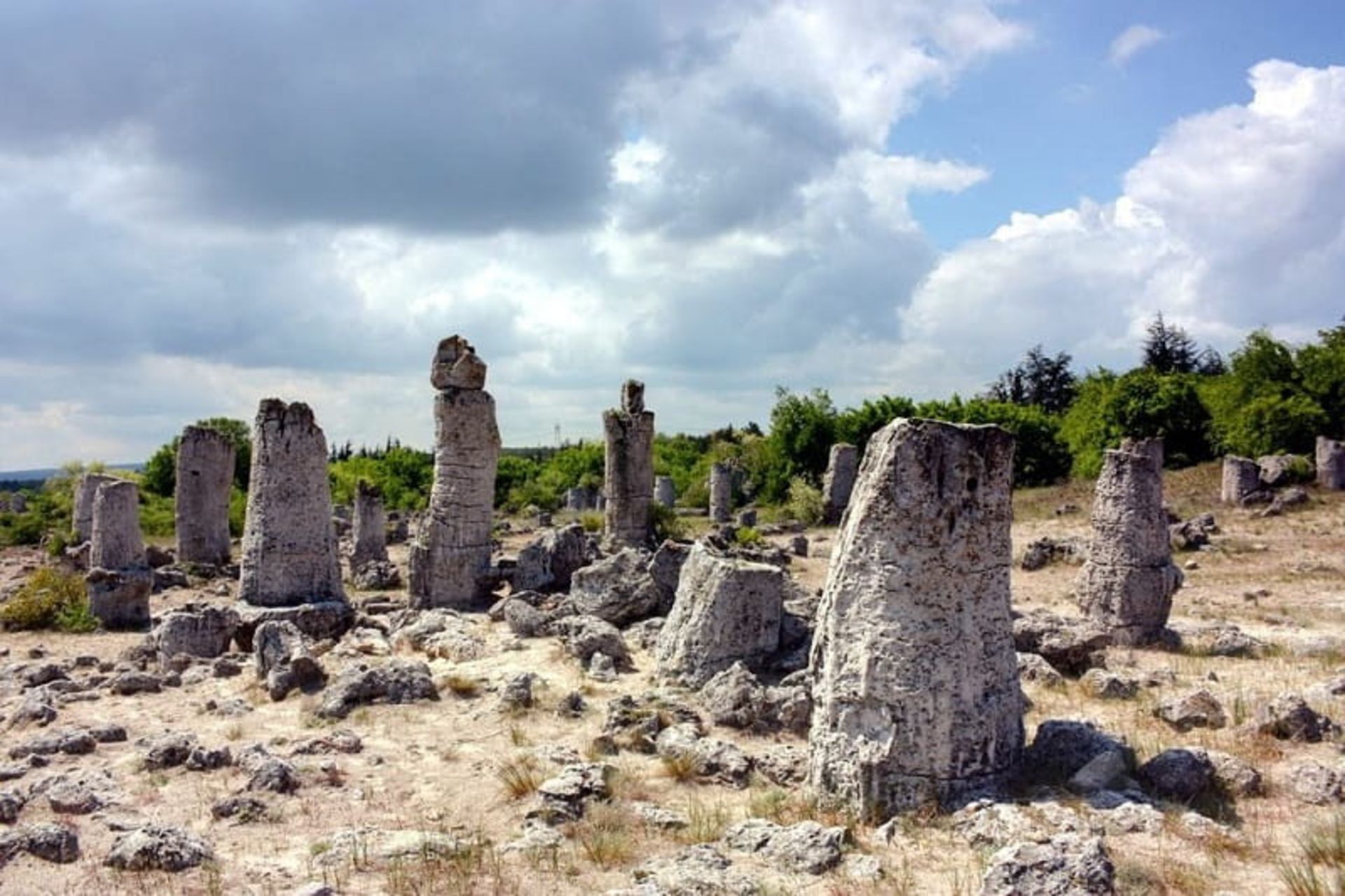 جنگل سنگی وارنا
