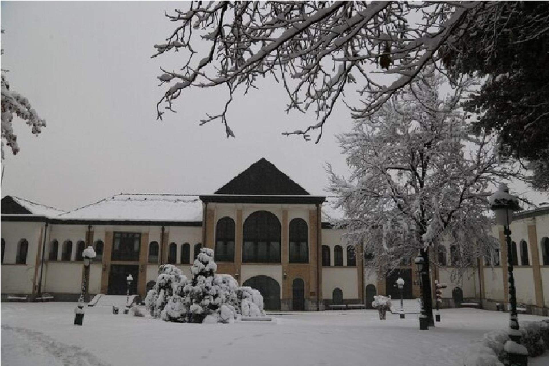 کاخ نیاوران در برف