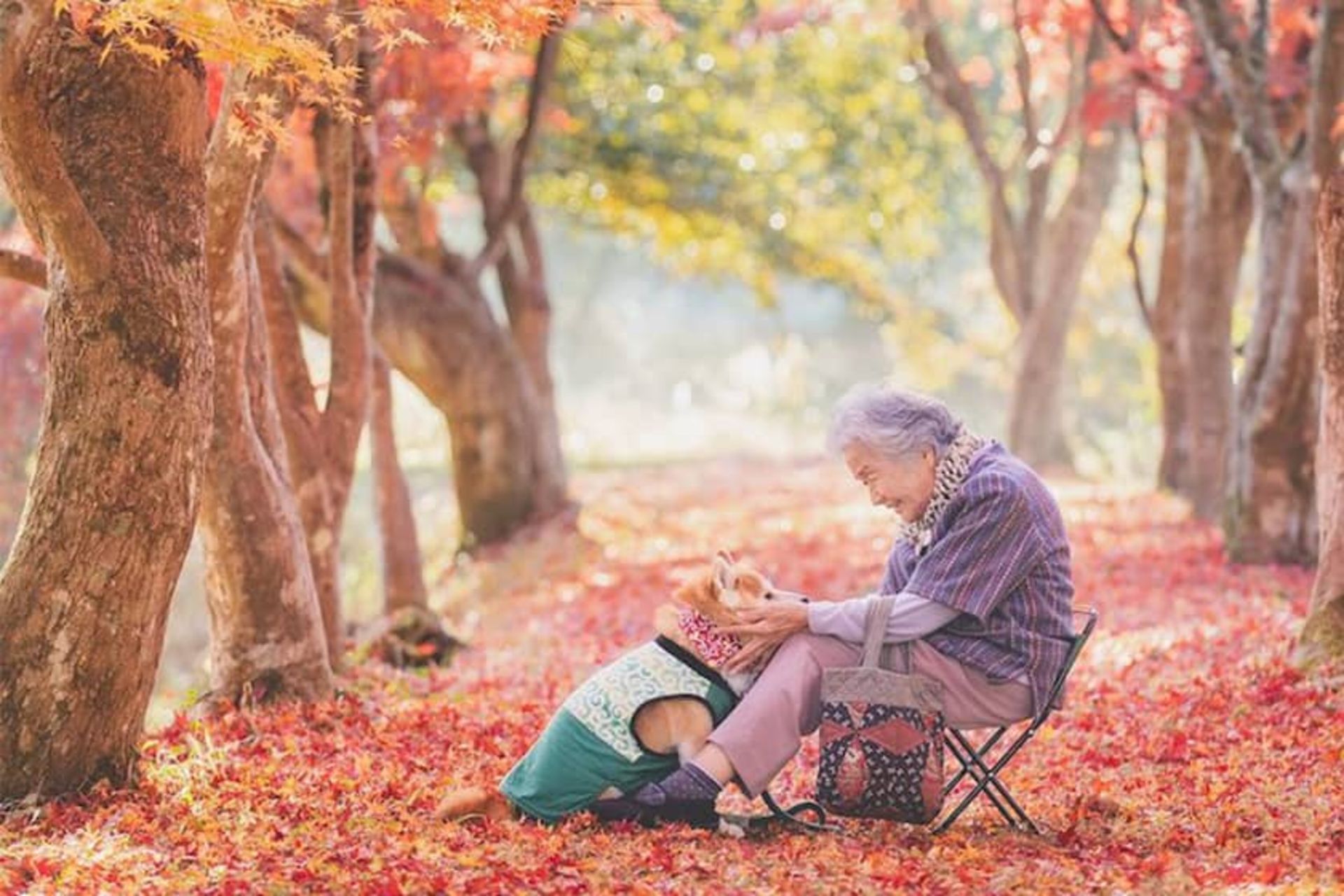 عکس یک مادربزرگ و سگش در فضایی پاییزی