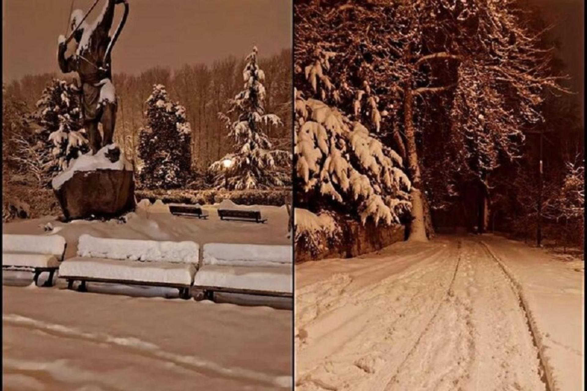 سعدآباد و نیاوران