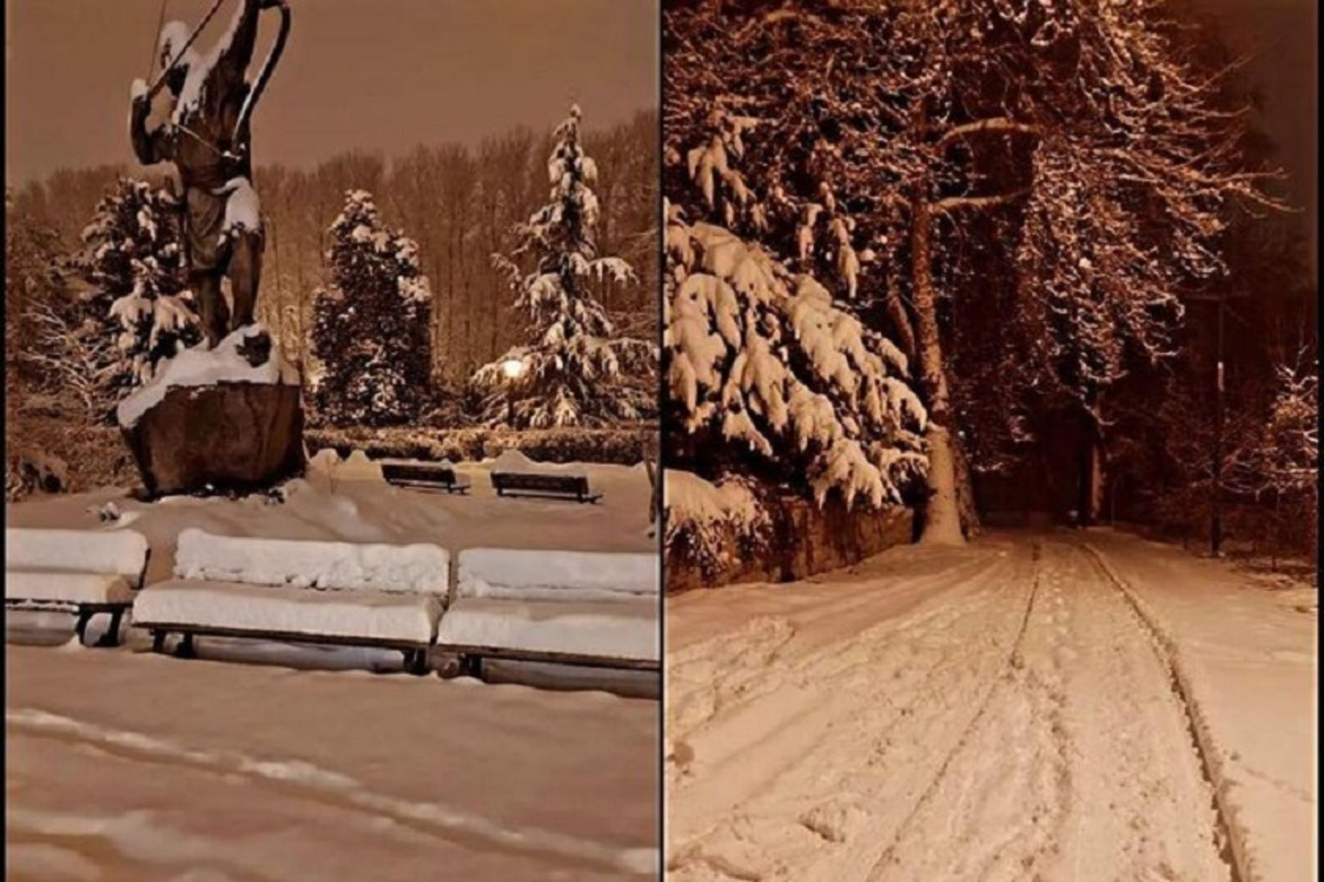 سعدآباد و نیاوران