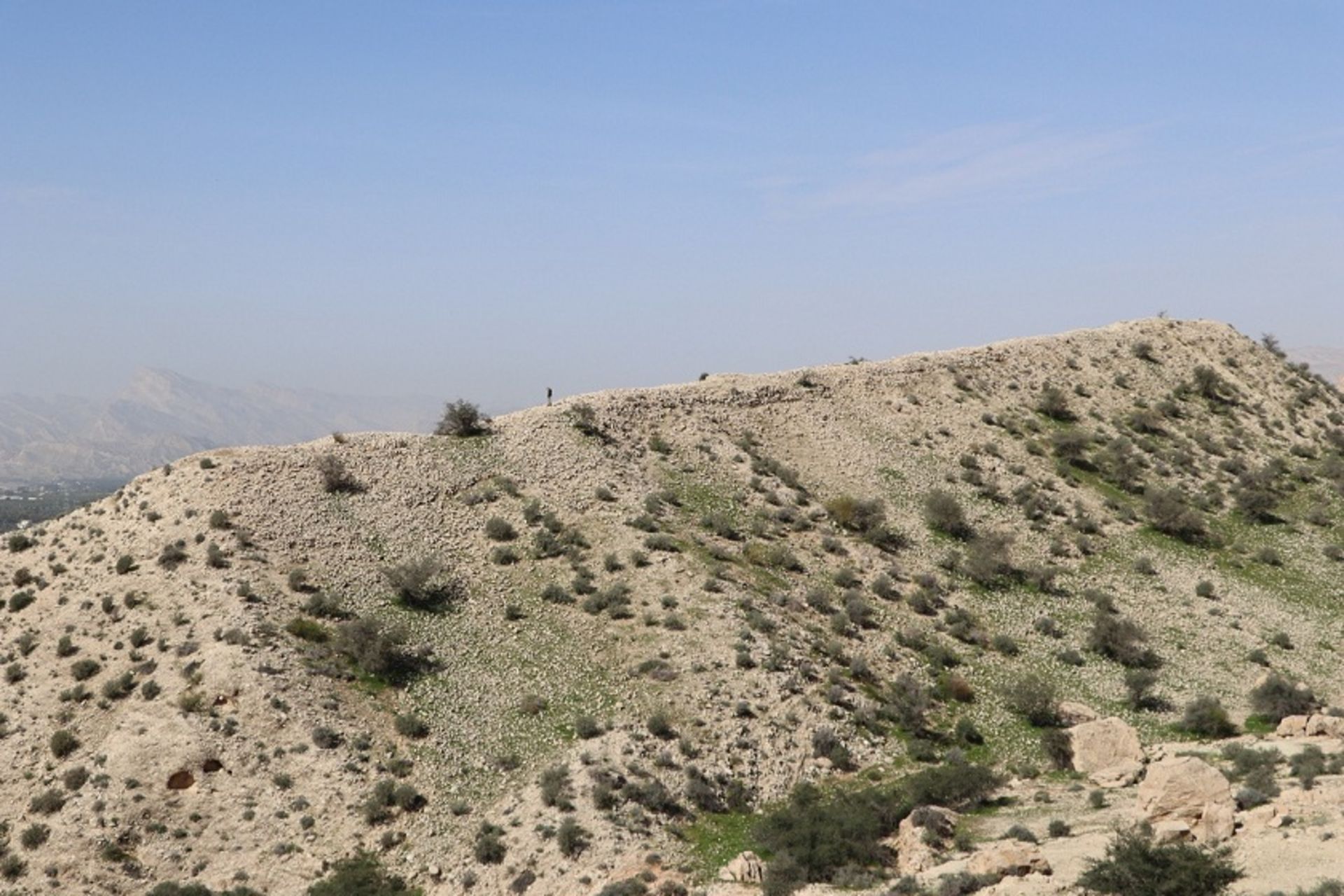 کشفیات باستانی در جم