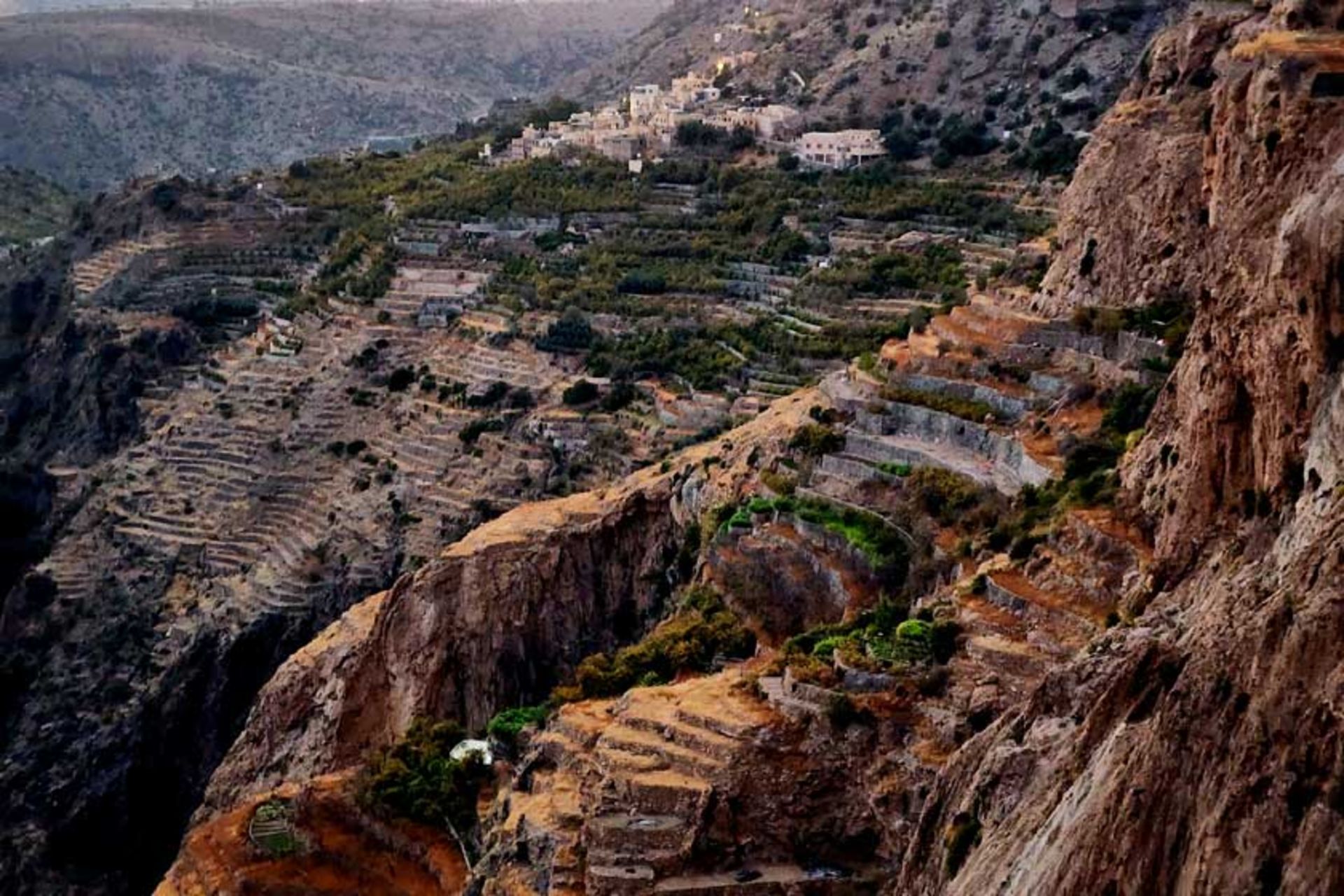 باغ‌های مطبق در جبل اخضر