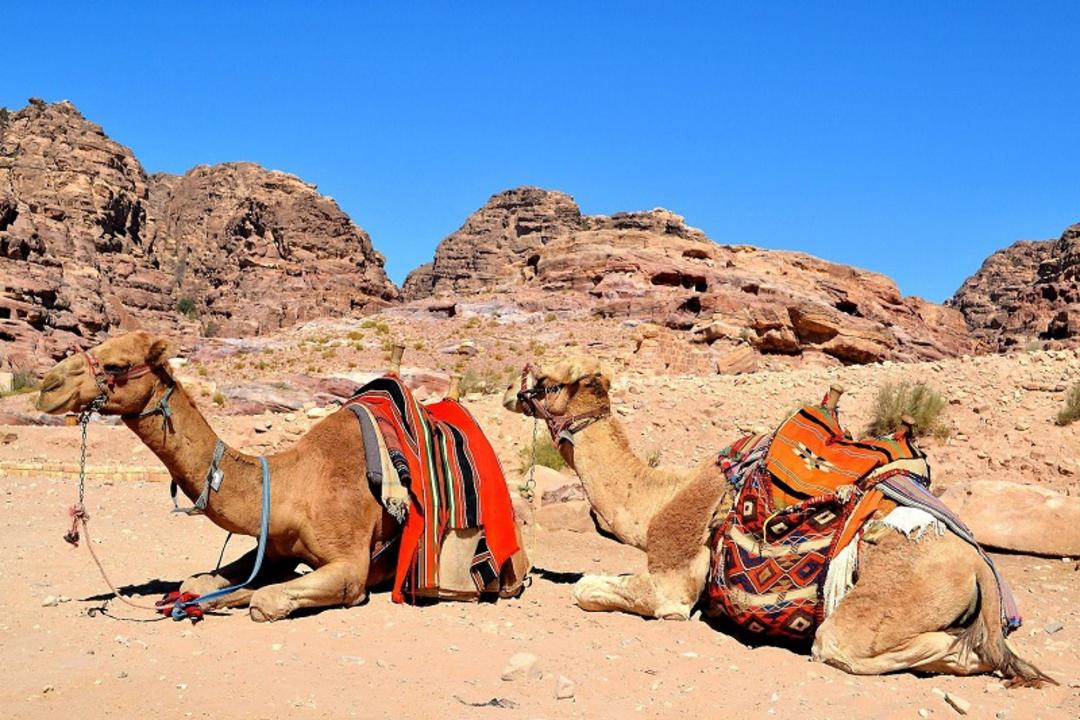 شترسواری در پترا