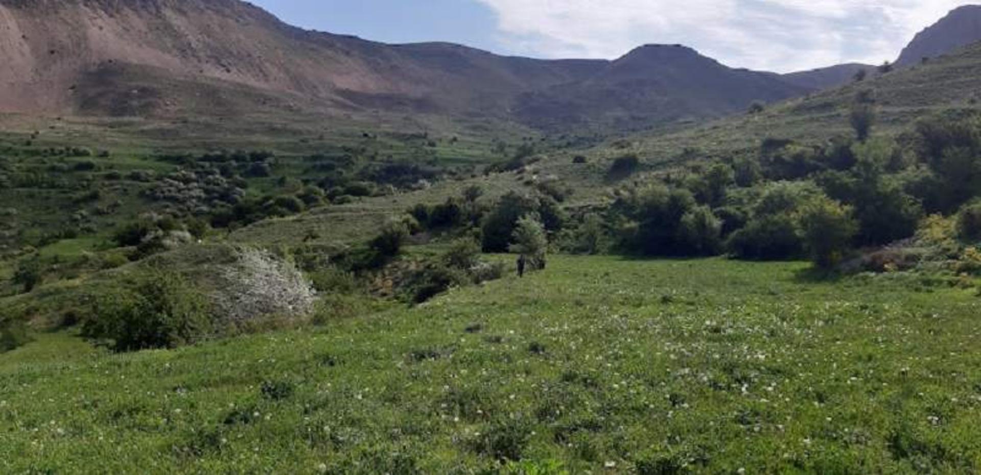 دشت آزو