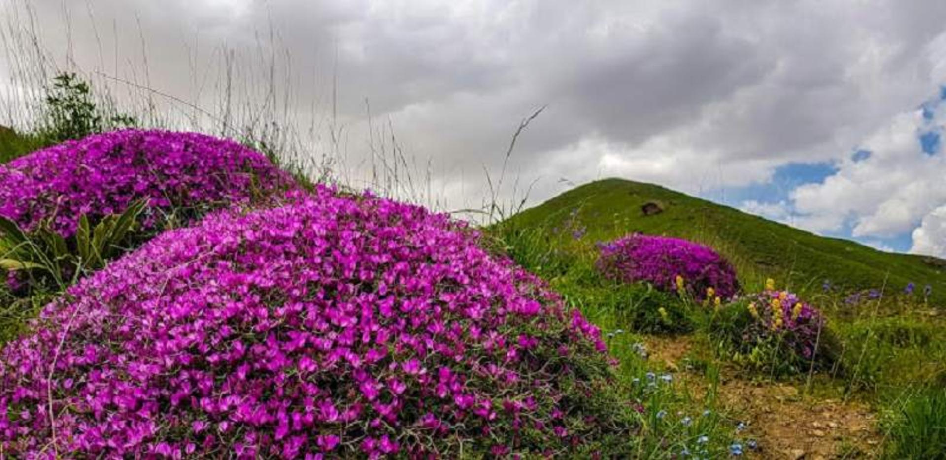 نمارستاق