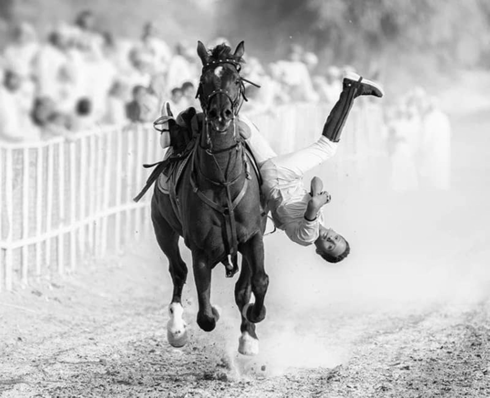 حرکات نمایشی روی اسب