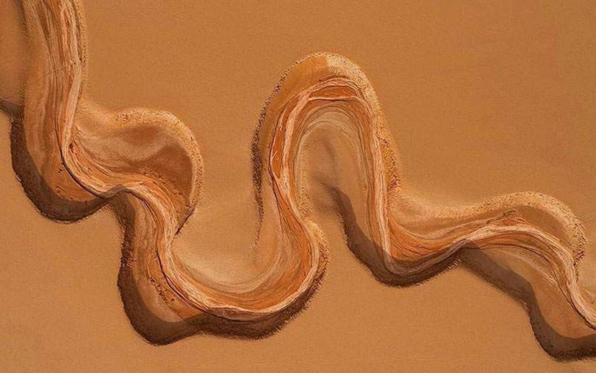 دشت لوت