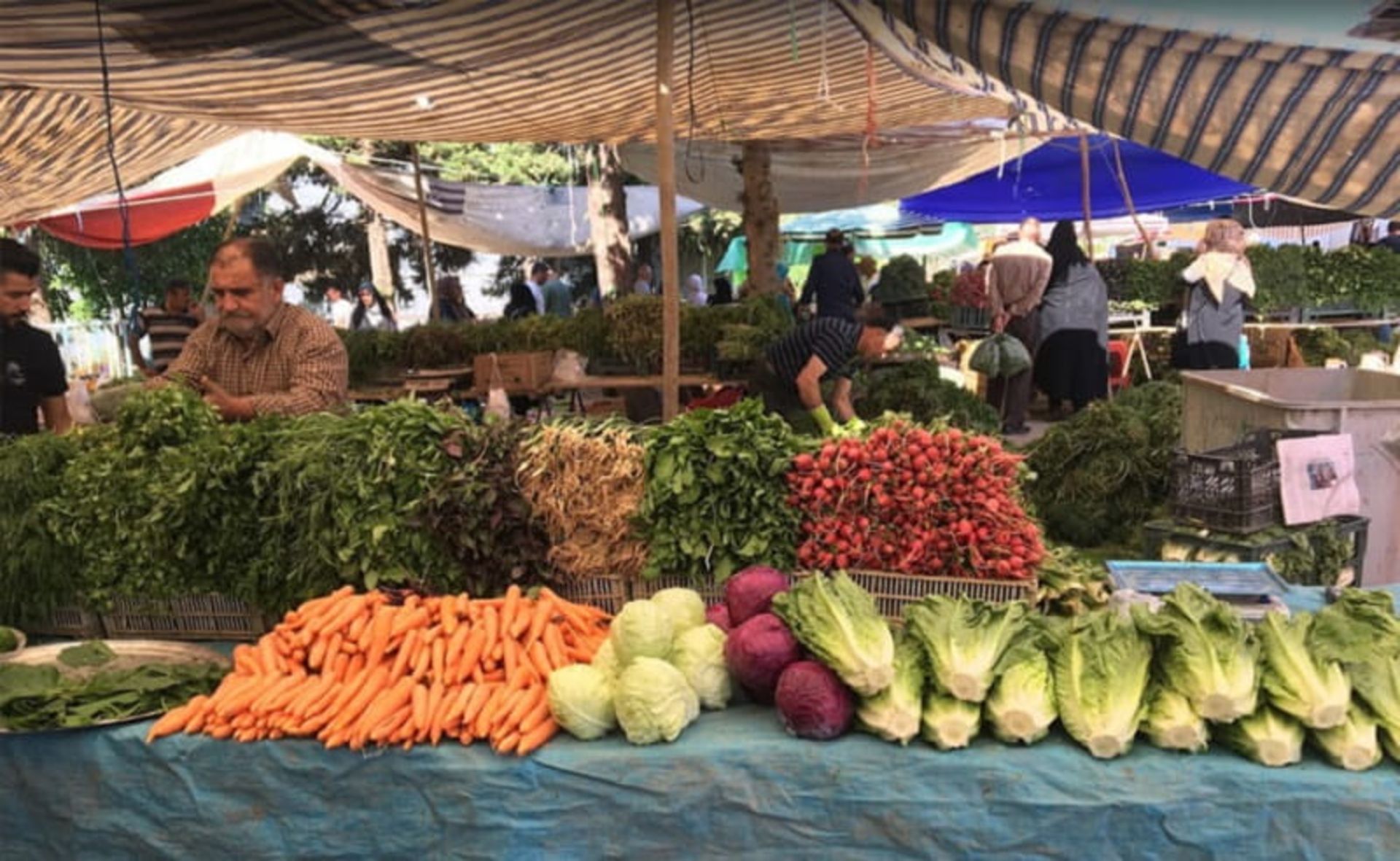 بازار هفتگی ماسال