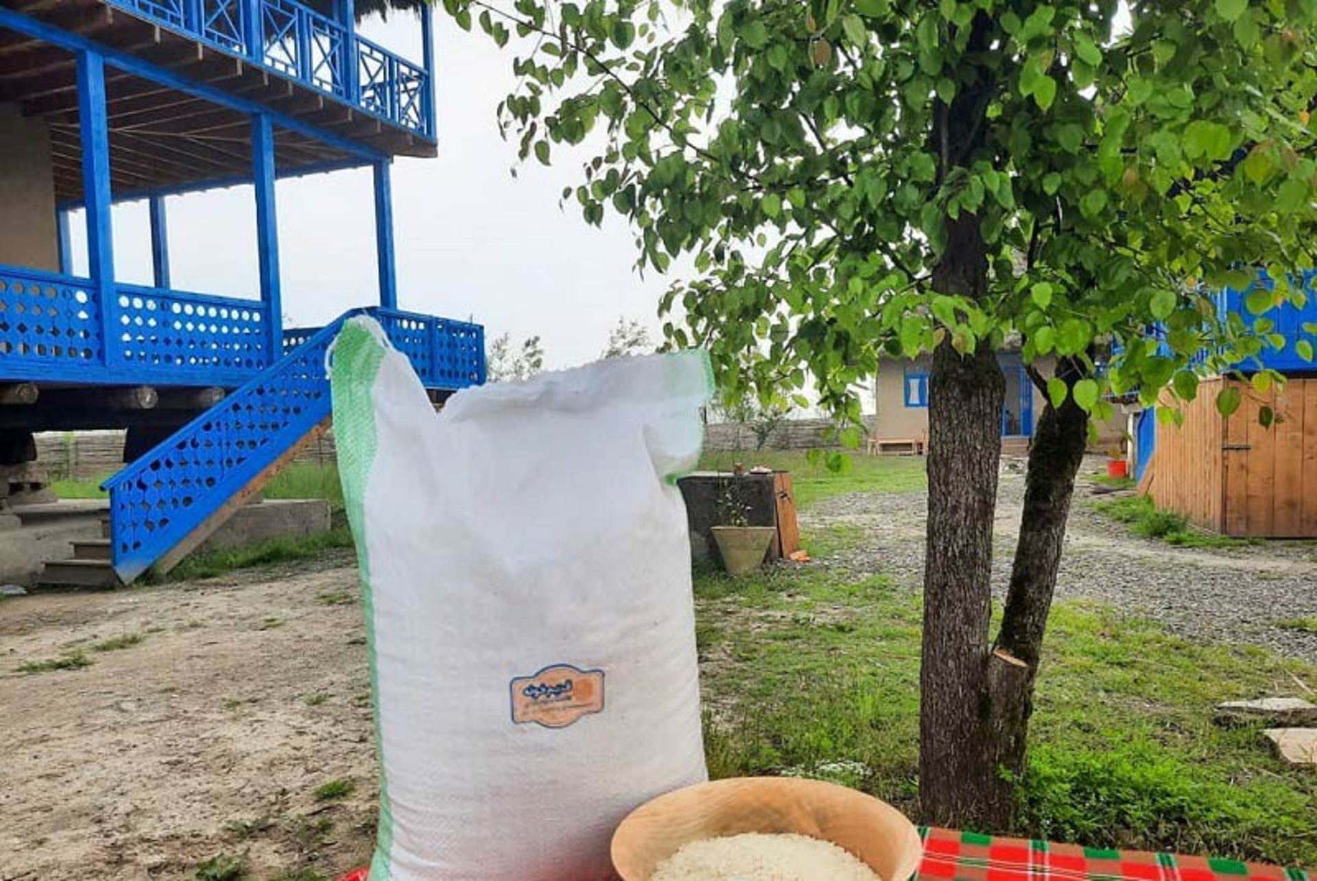 خرید برنج از قدیم خونه 
