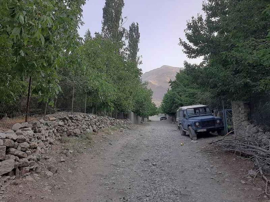 دشت هویج 