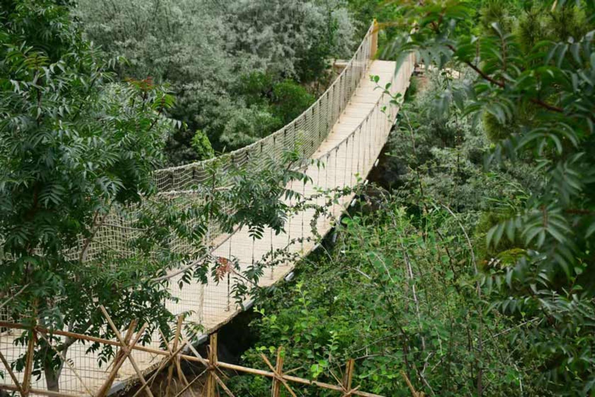 پل چوبی در مجموعه تفریحی گردشگری و گیاه شناسی باغ مشهد