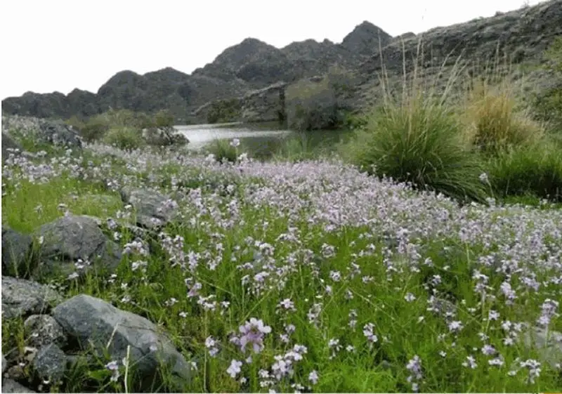 منطقه گردشگری گشکندر 