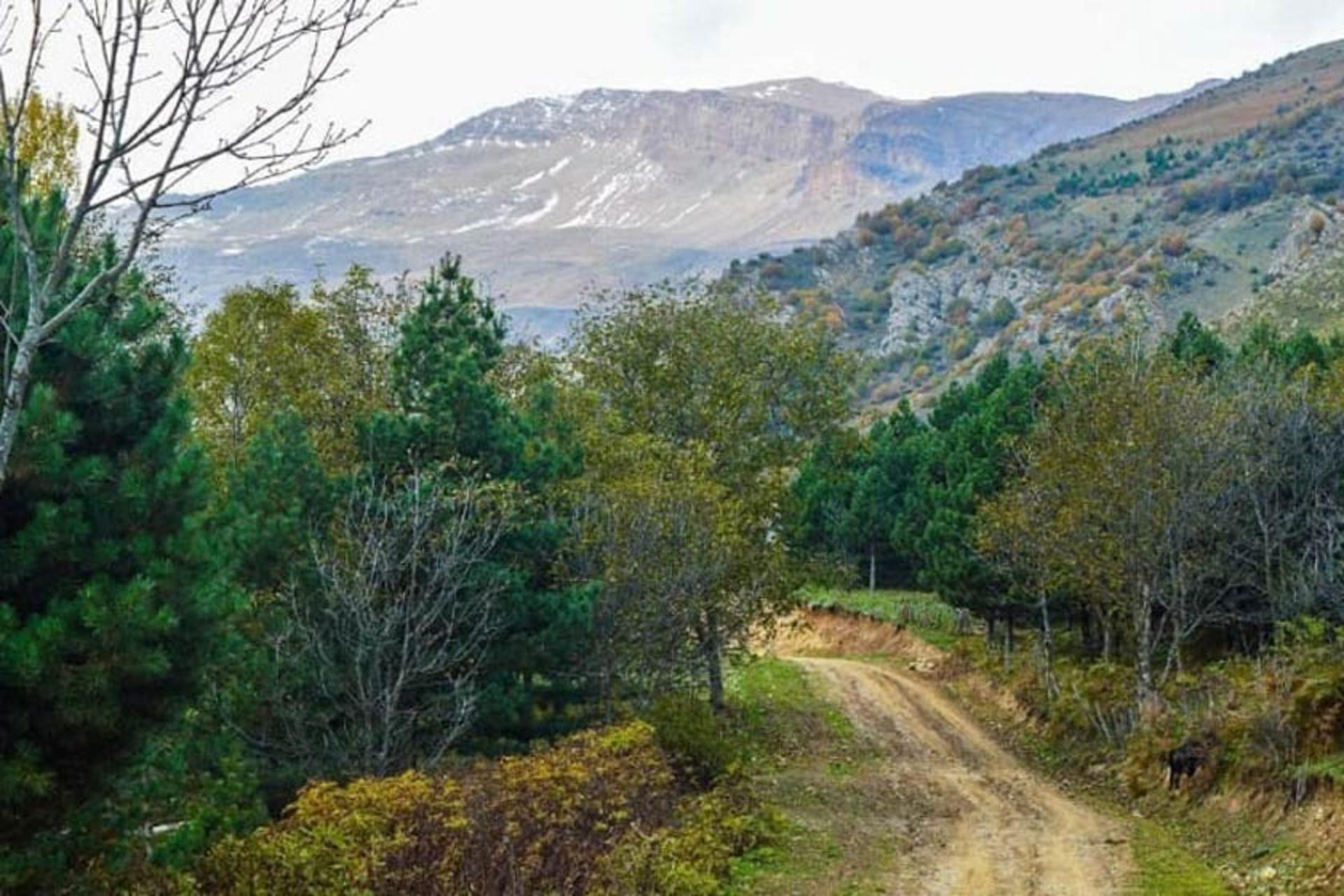 مسیرهای روستای جواهرده 