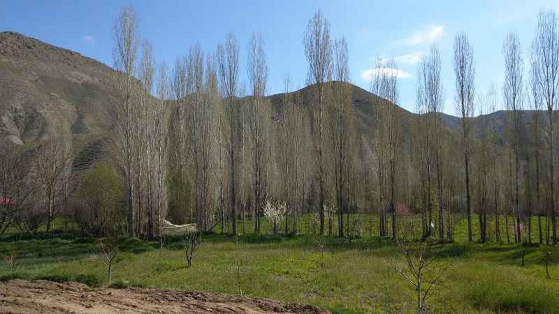 روستای هرانده