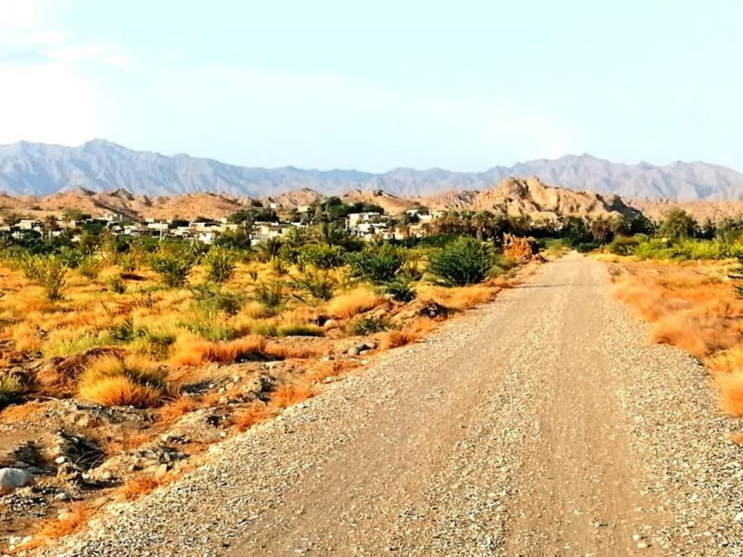 شمیل هرمزگان