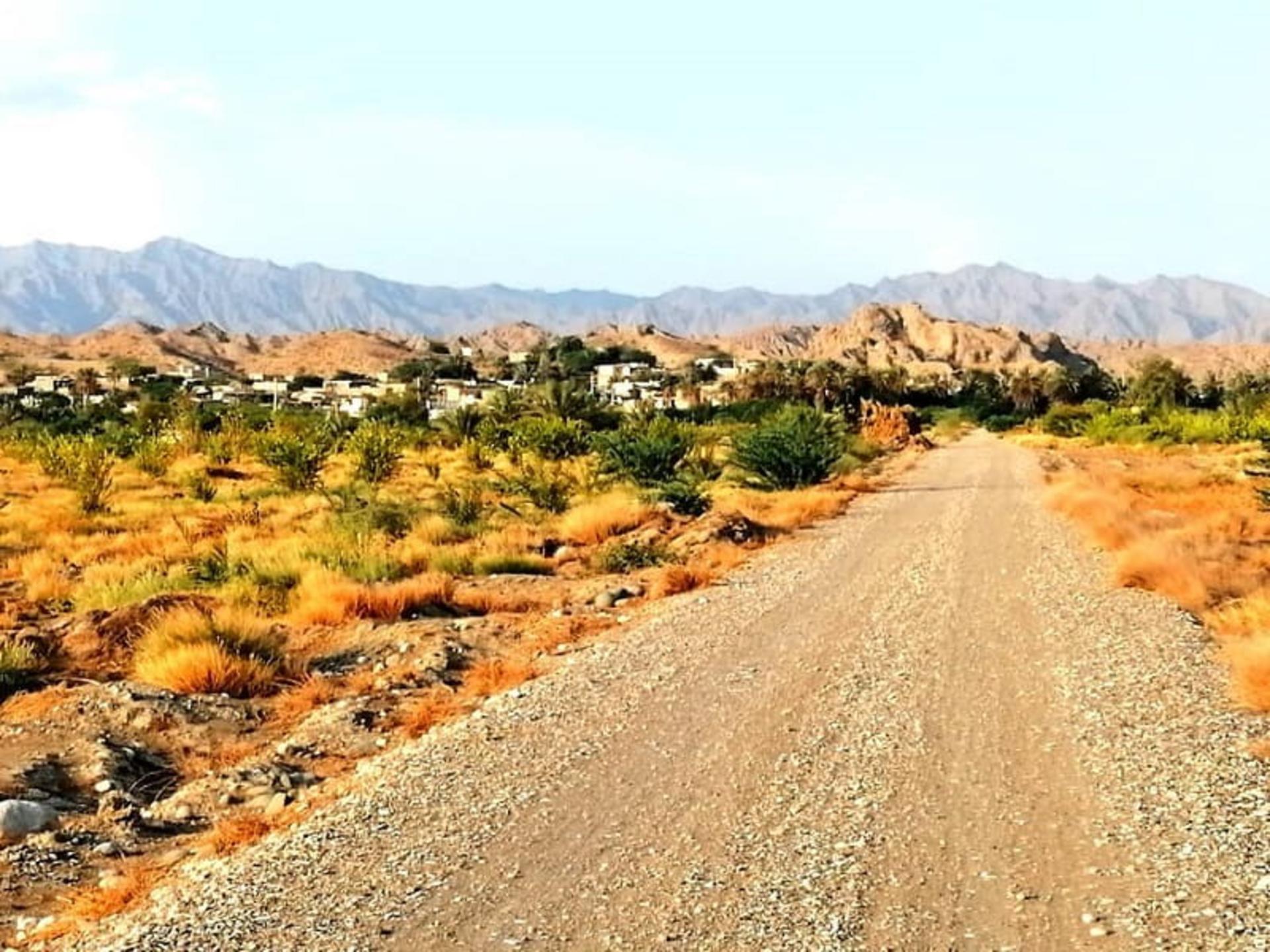 شمیل هرمزگان