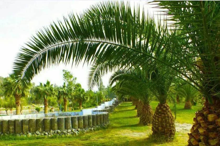 شهرستان کهنوج کرمان 