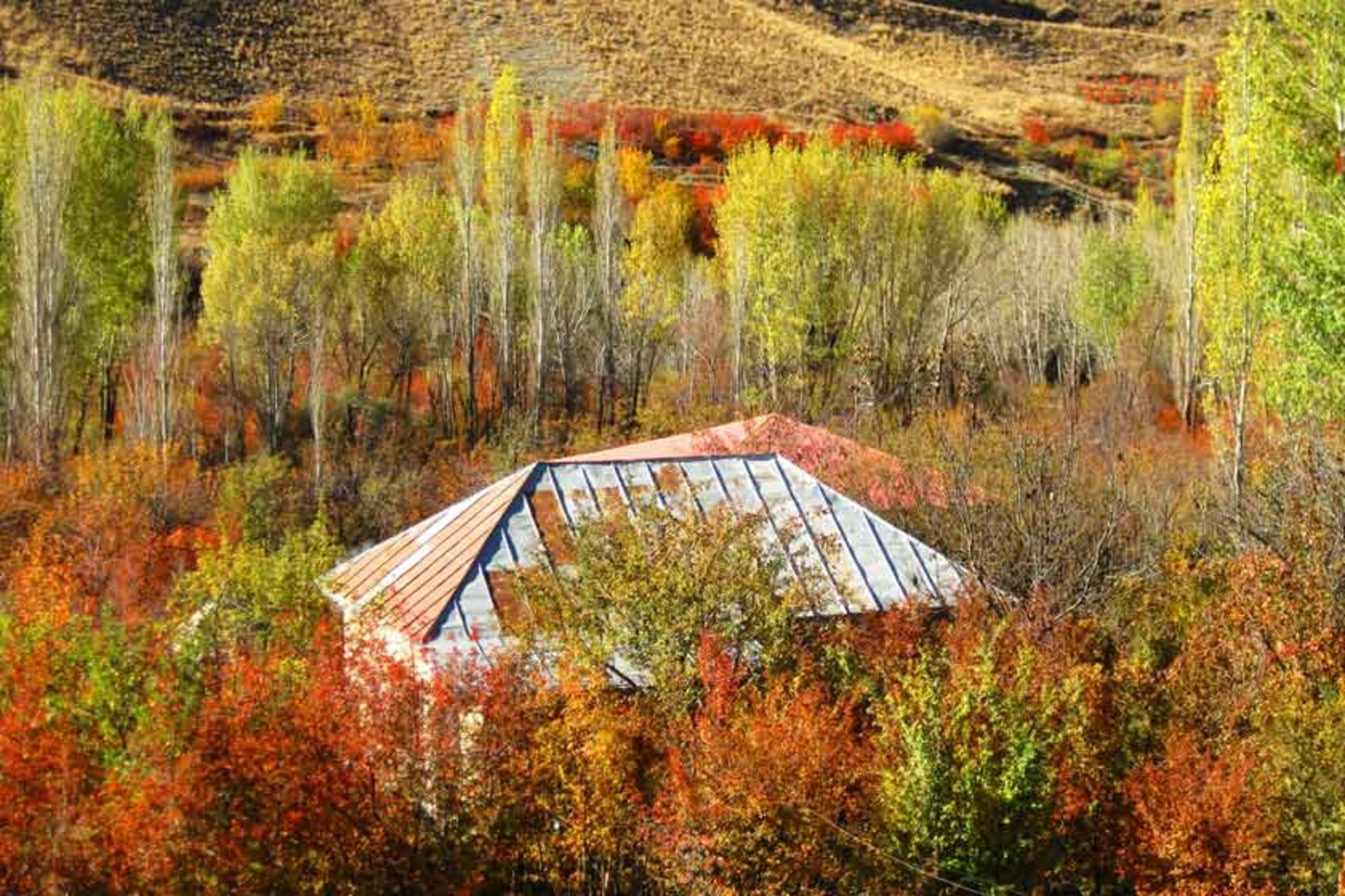 پاییز در شهرستانک