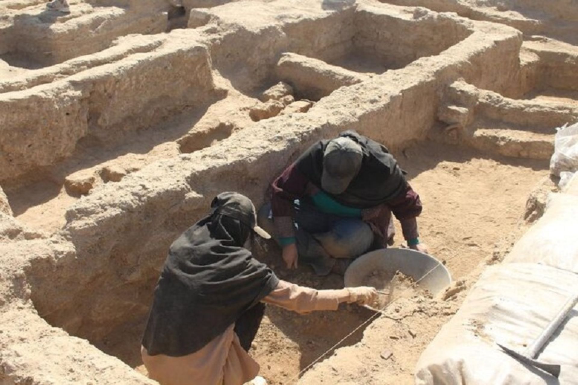 کاوش باستان شناسی