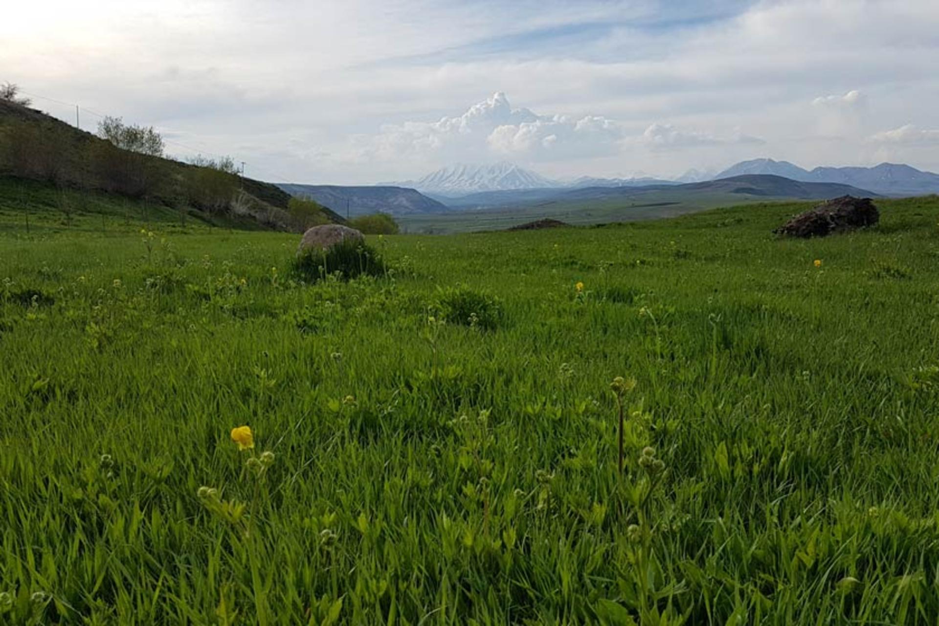 طبیعت بکر روستای آتش بیگ