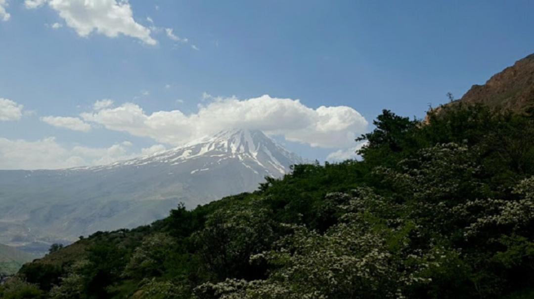 دشت آزو