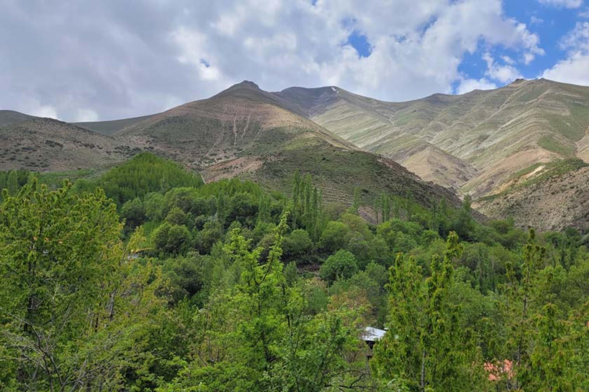 طبیعت تابستانی روستای آهار