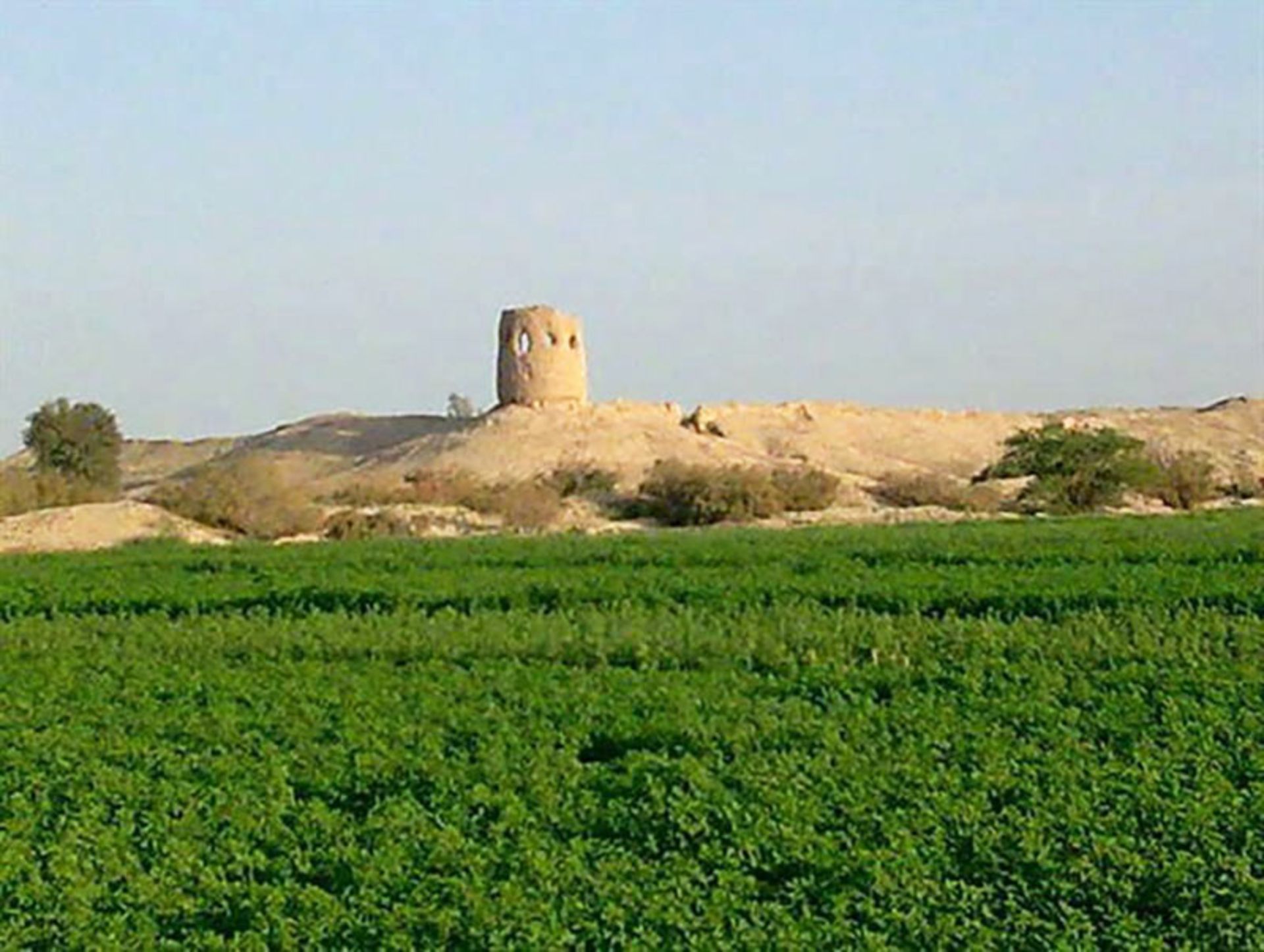 قلعه میش پدام کهنوج 