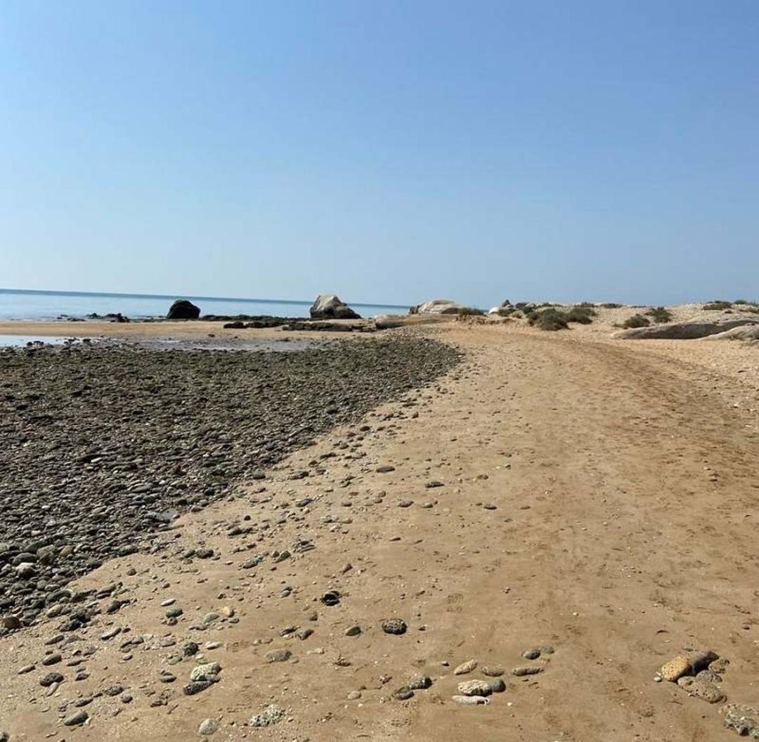 ساحل جنوب