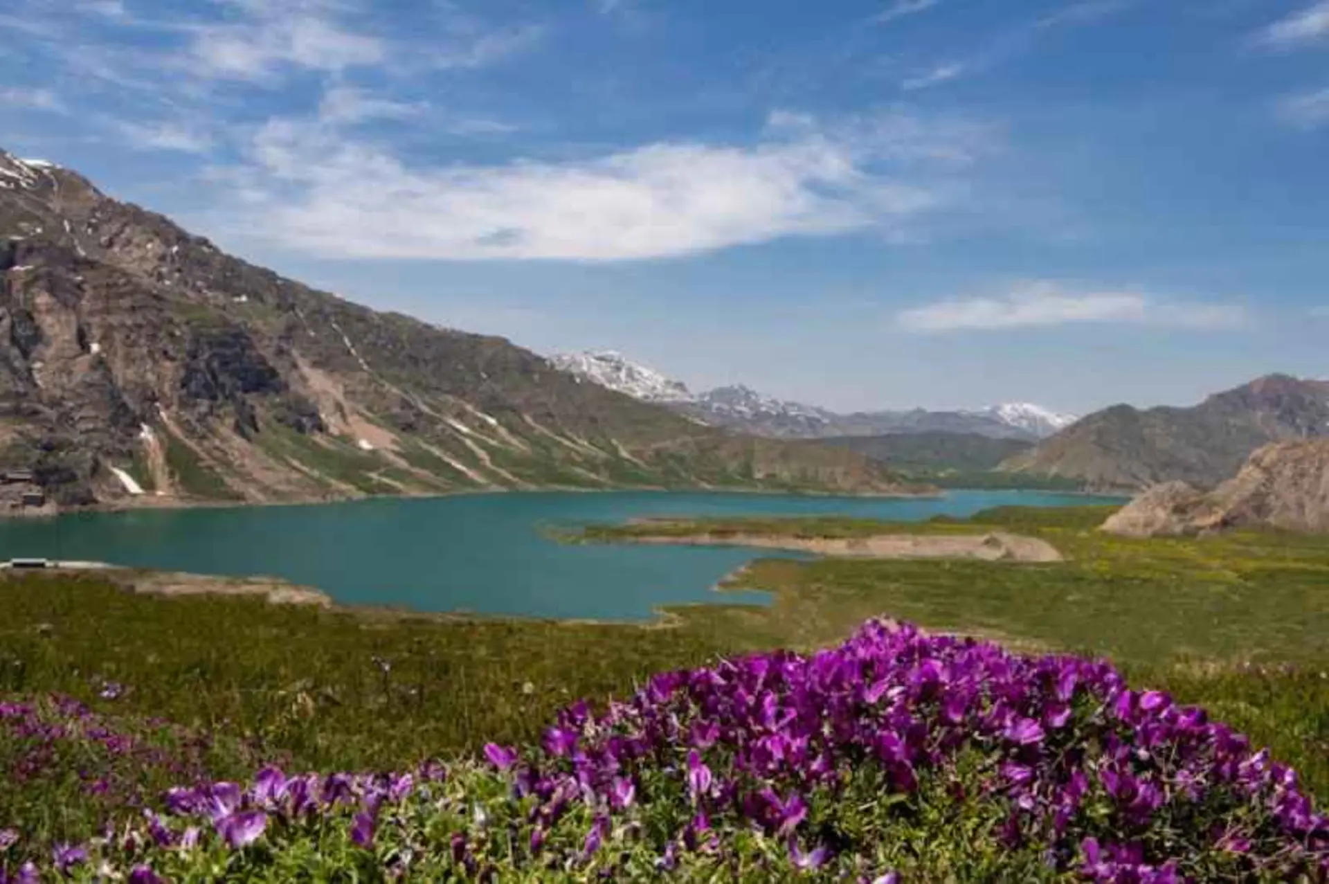 دشت لار