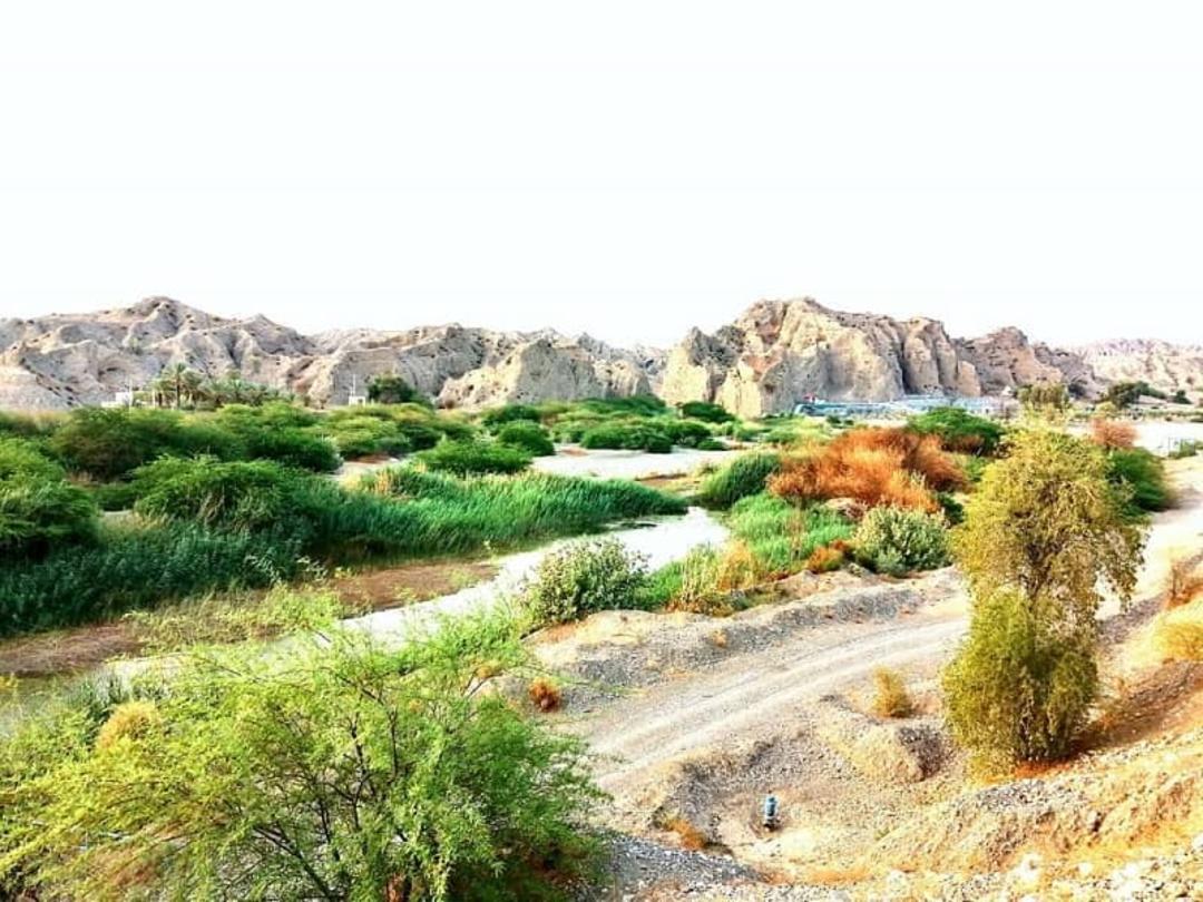طبیعت بکر شمیل هرمزگان