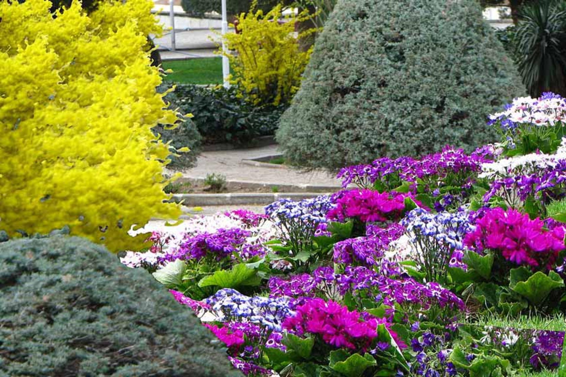 گل‌های گوناگون در پارک ساعی
