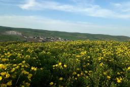 بهار در روستای آتش بیگ