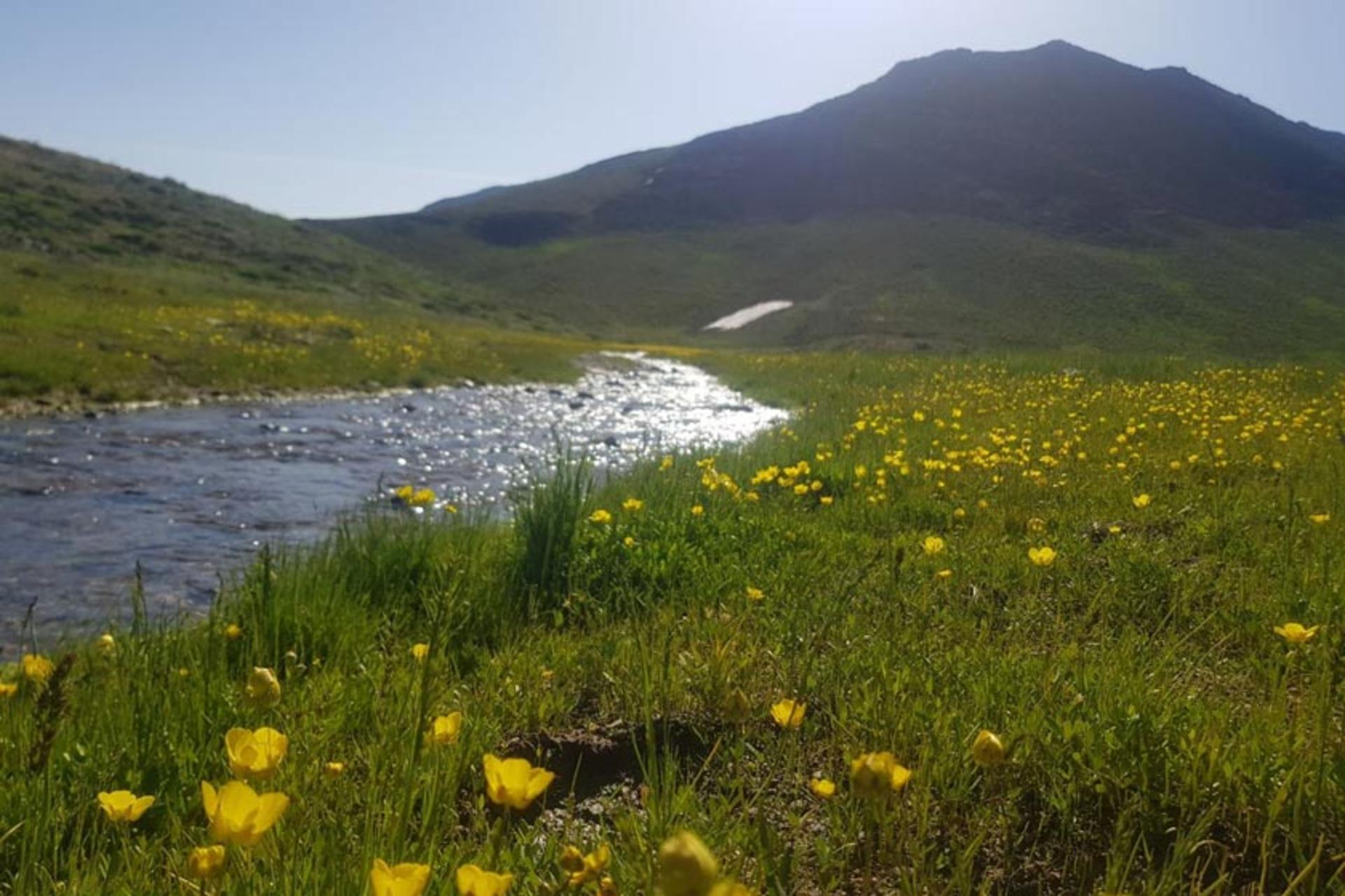 بهار در روستای انالوجه