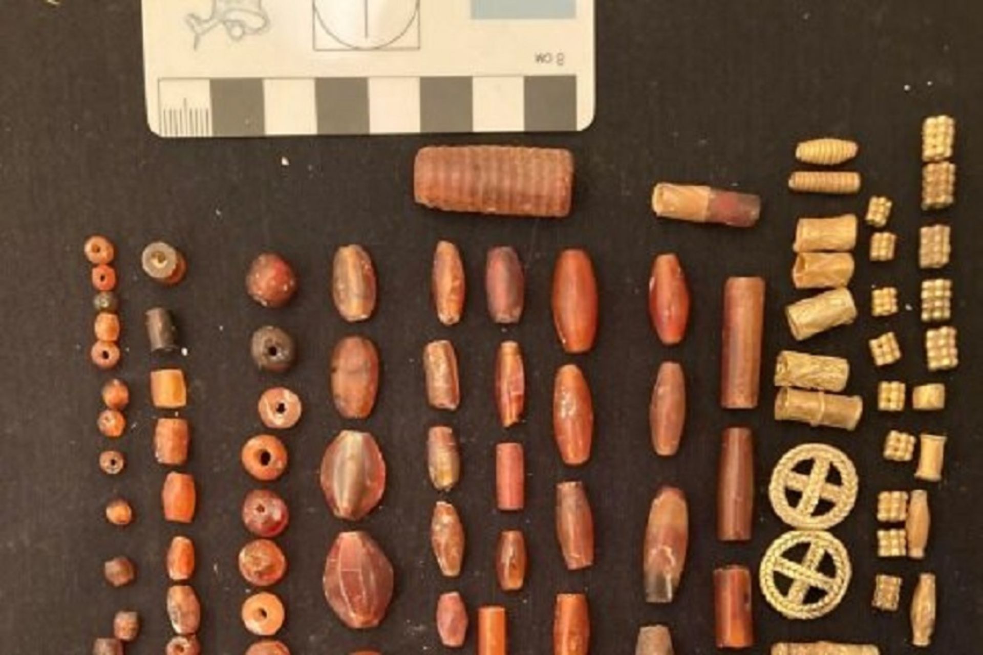 2023-3-c3298b87-9c56-4d6f-99a3-8f76f1f82cd3