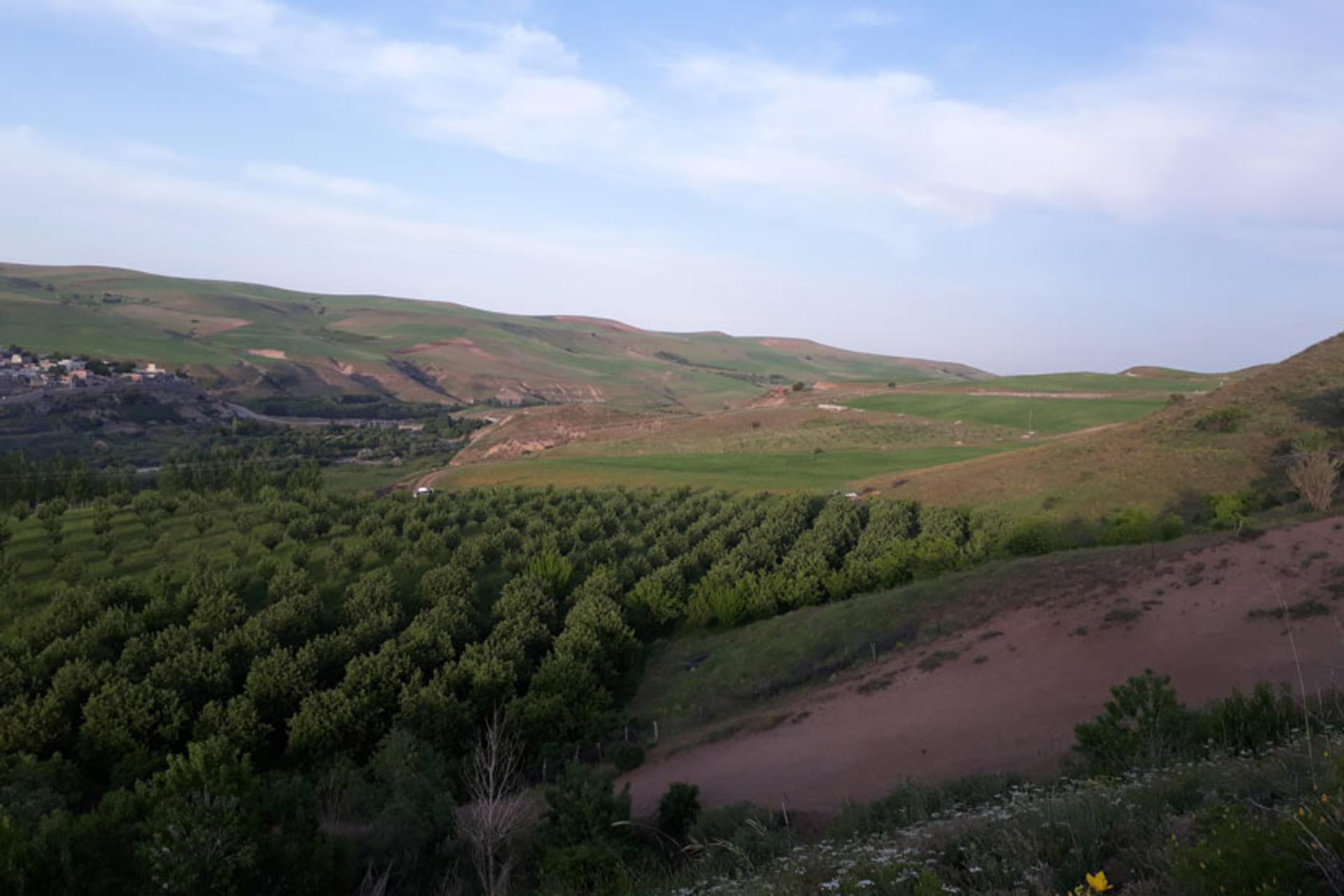 باغات و مزارع روستای آتش بیگ