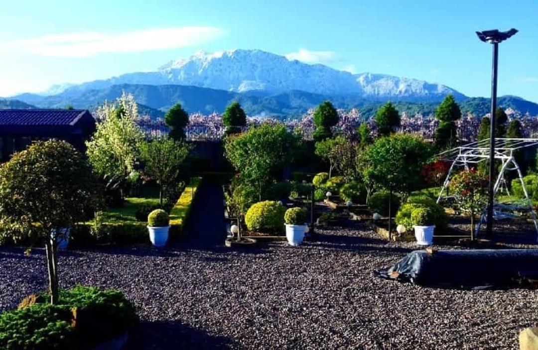 متل ترنج در روستای امامزاده هاشم گیلان
